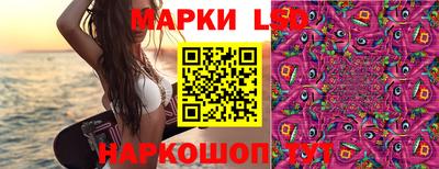 дмт Можайск
