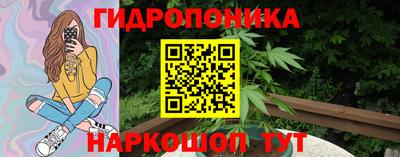 apvp Моздок