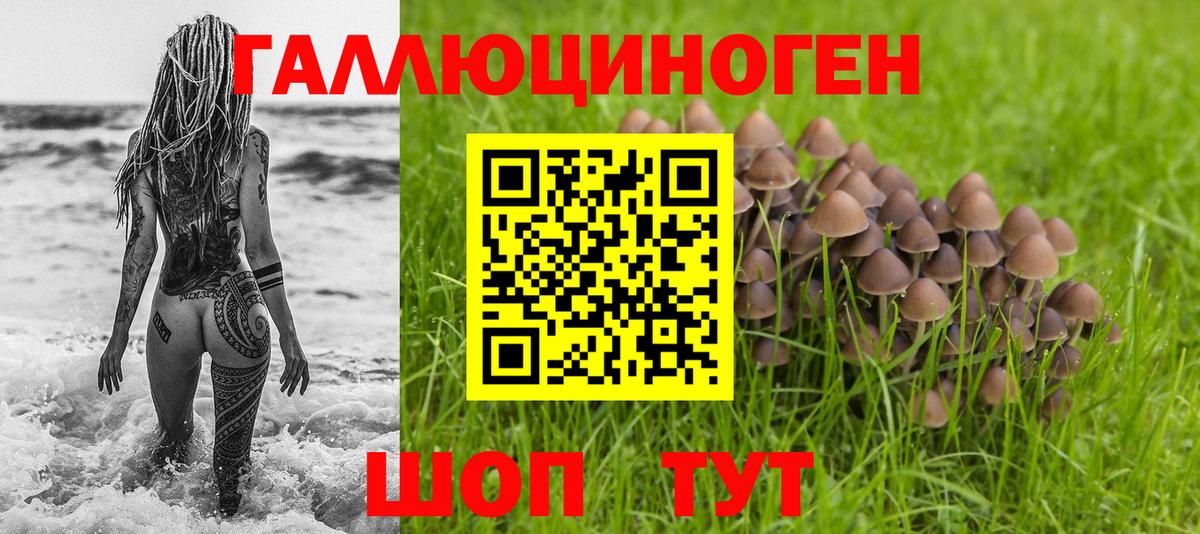 Батайск  закладка  Вход с VPN  Галлюциногенные грибы MAGIC MUSHROOMS  Галлюциногенные грибы MAGIC MUSHROOMS 